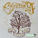 Cafetaria by Mono